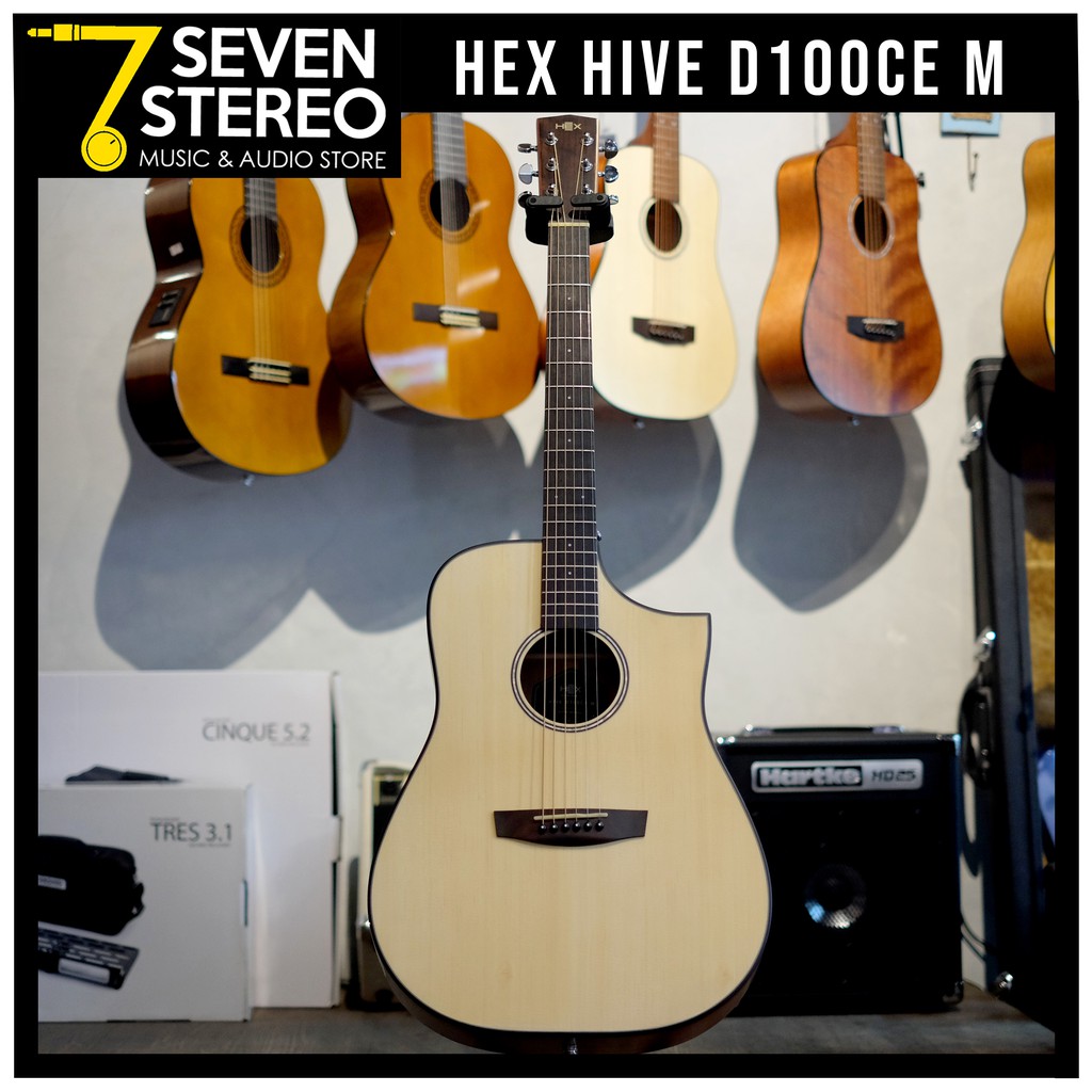 Hex Hive D100 CEM Electric Acoustic Guitar