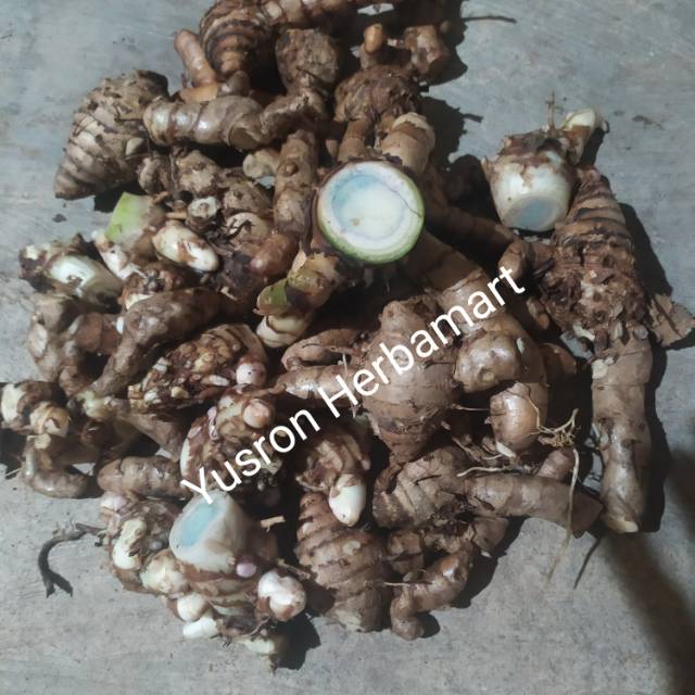 

HERBAL UMBI TEMU HITAM SEGAR 1 KG