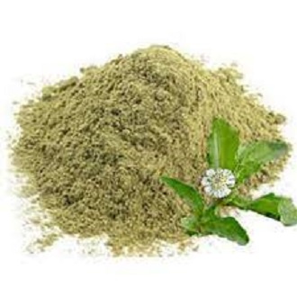 

Daun Urang Aring Bubuk 500 g Asli Murni - obat penyubur penghitam rambut