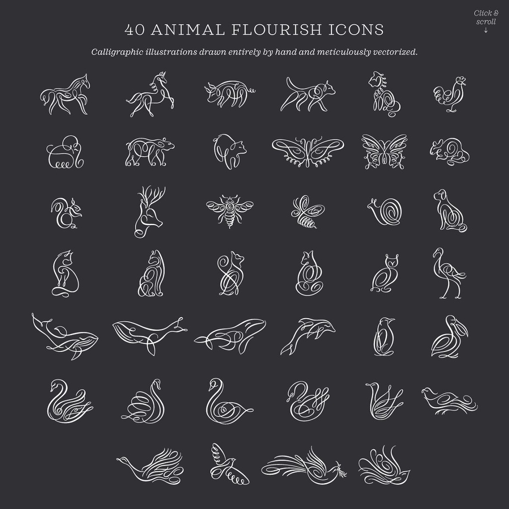 Procreate Brush - Animal Flourish Icons &amp; Brushes