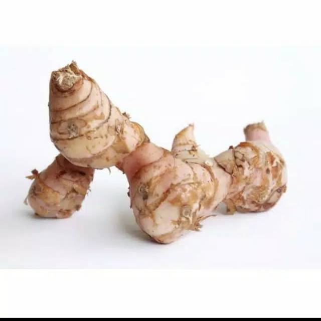 

LENGKUAS / LAOS SEGAR 1 KG