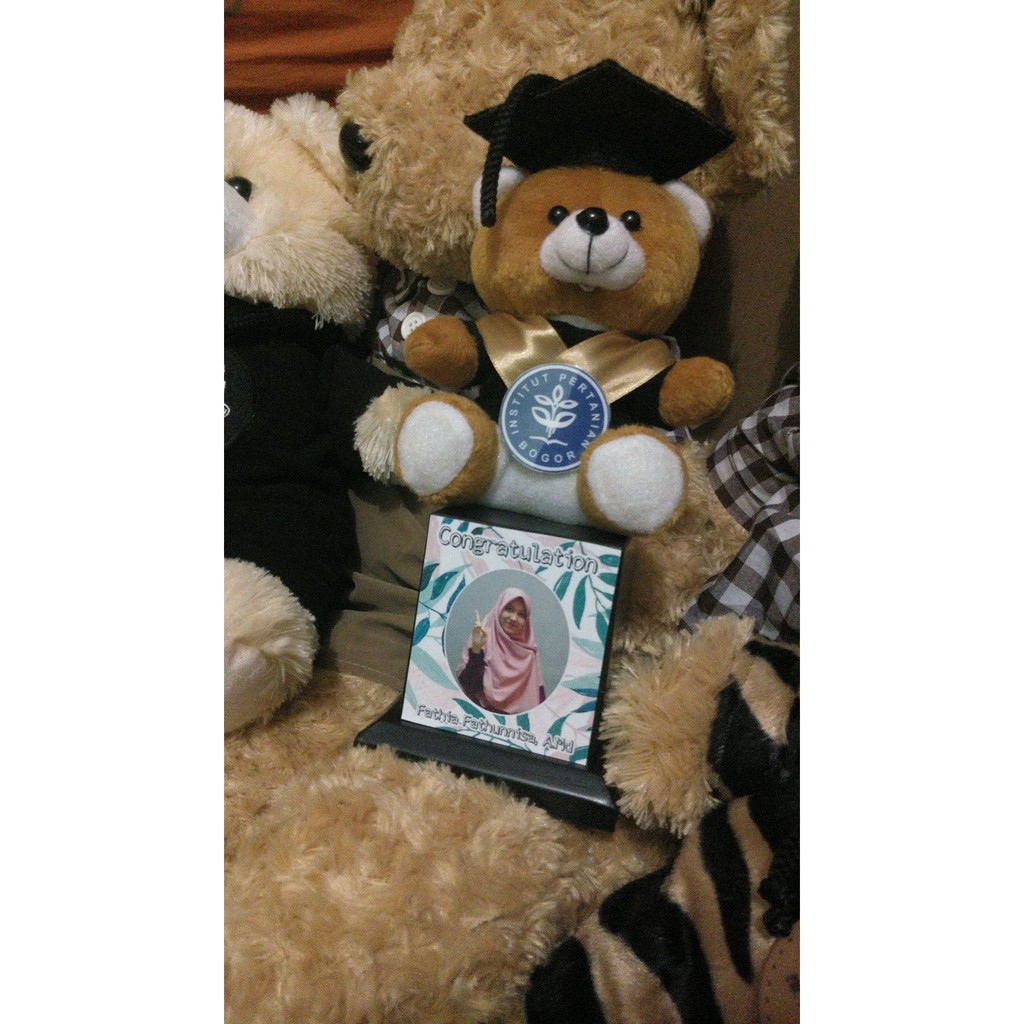 

Piala Boneka Wisuda Packing Dus Box Eksklusif e disigrosir