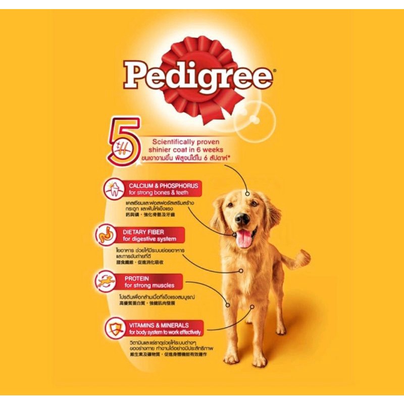 Pedigree Adult Beef &amp; Veg 500gr Fresh Pack Dry Dog Food / Makanan Aniing Dewasa