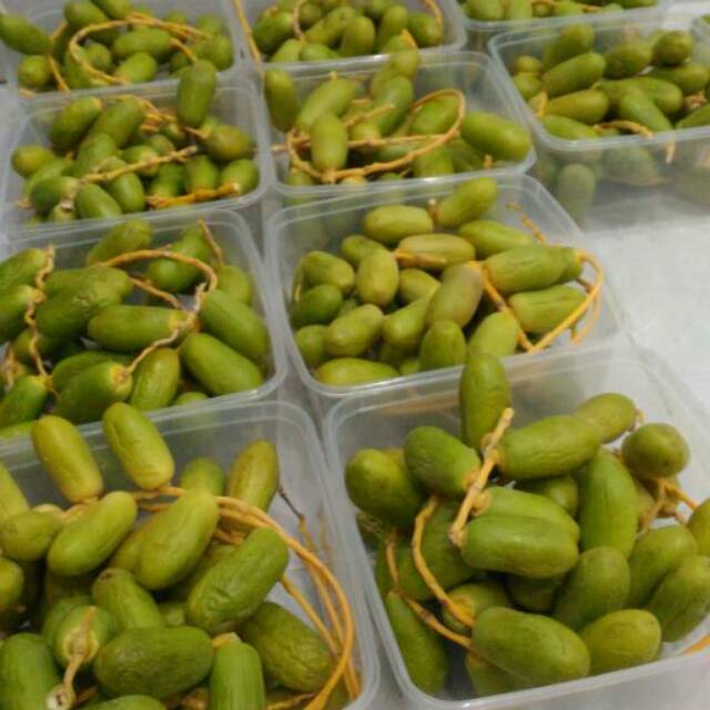 Rutob Promil Hijau CUCI GUDANG Kurma Muda Mentah