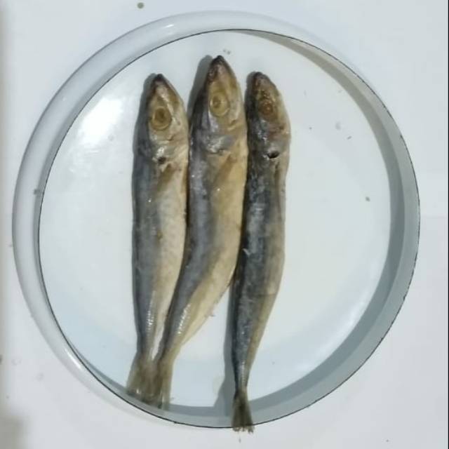 

Ikan asin Peda