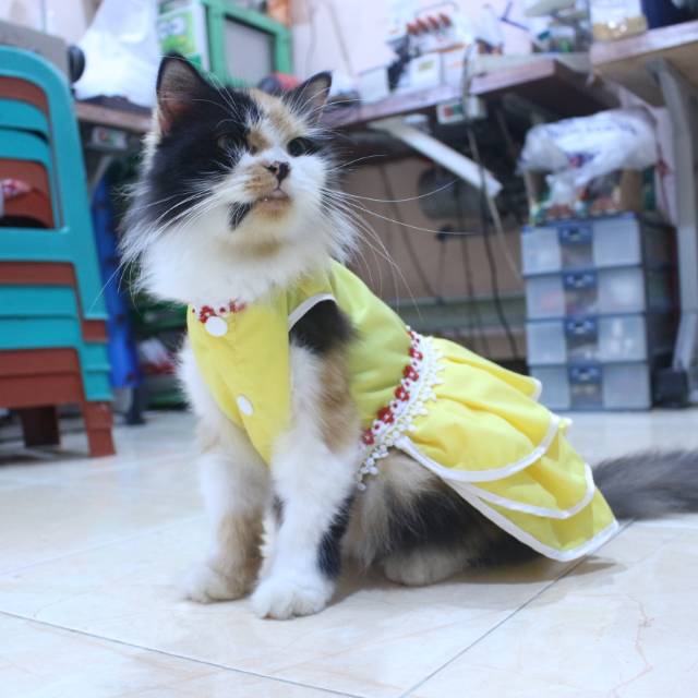 Dress polos warna kuning lucu untuk kucing / baju kucing murah size S-XL