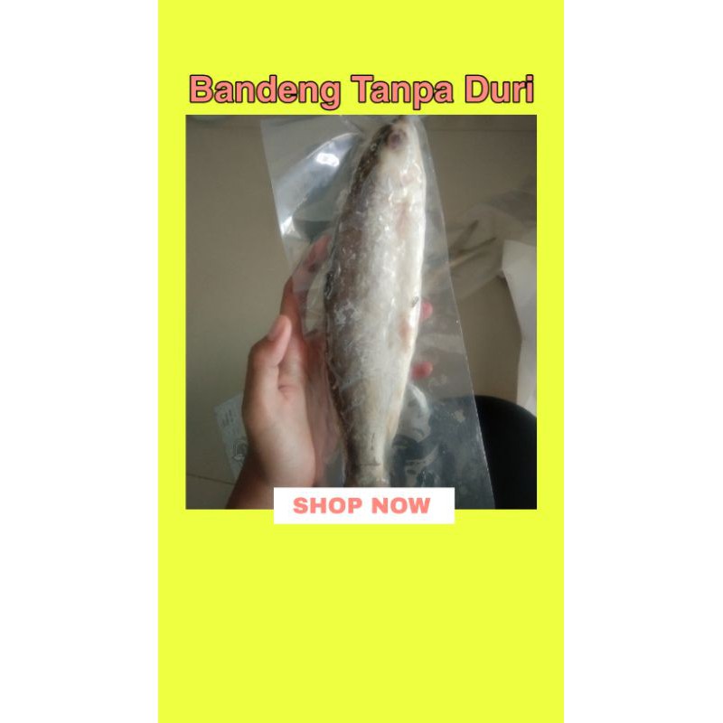 

Bandeng tanpa duri