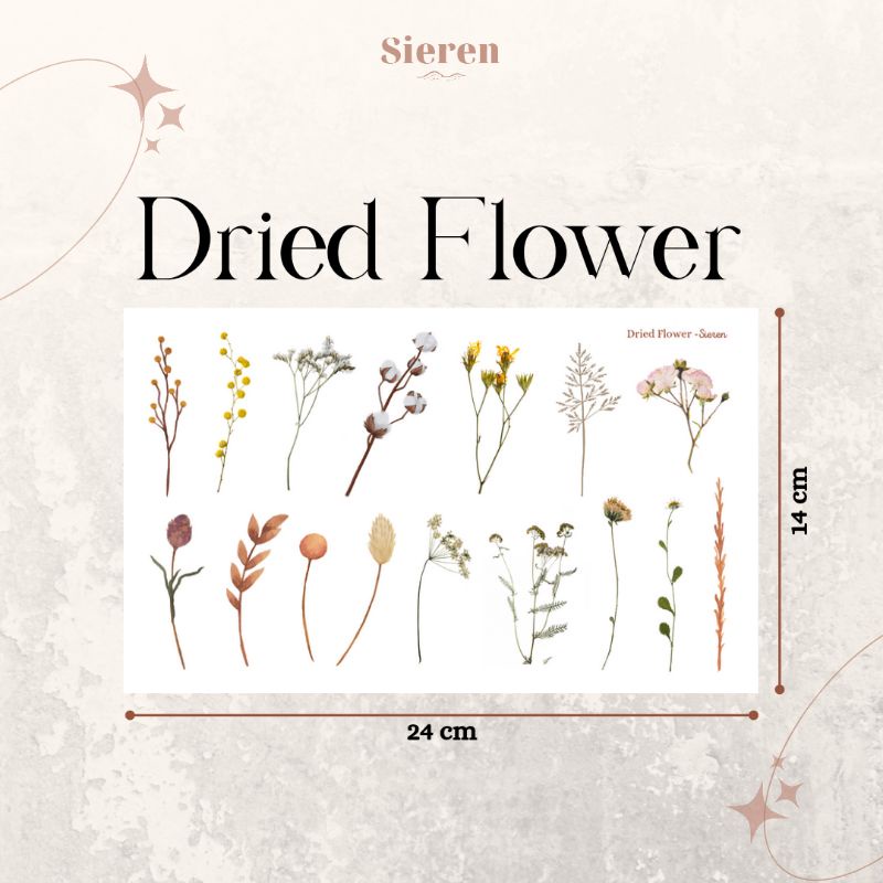 

Transparent Sticker Dried Flowers | Stiker Transparan Bunga Kering | Aesthetic Transparent Sticker