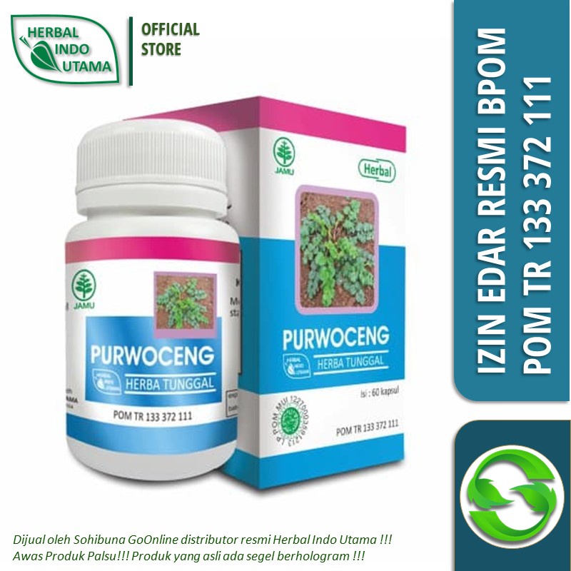HERBAL INDO UTAMA Purwoceng Ekstrak Herbal isi 60 kapsul Terdaftar BPOM