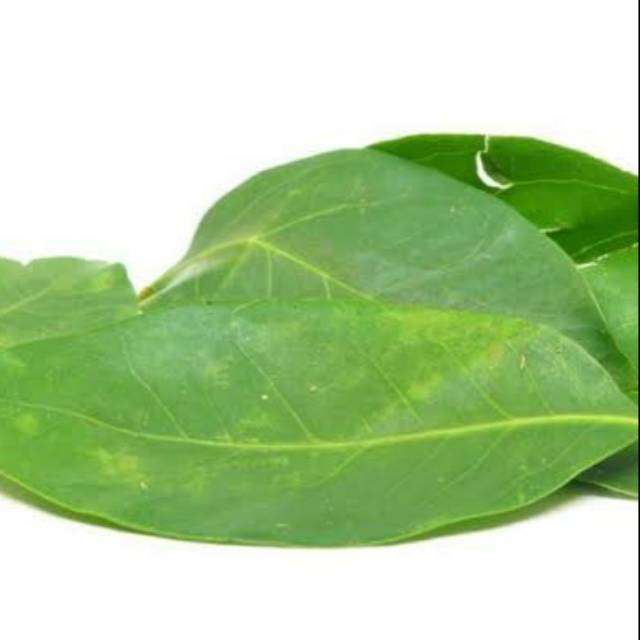 

Daub salam 100gr