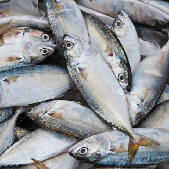 

Kembung - Omah Seafood