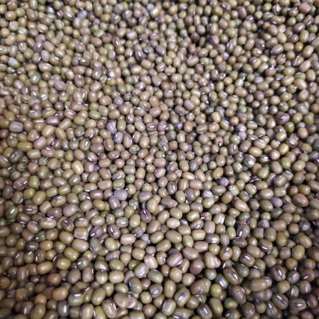 

Kacang Hijau 500gr