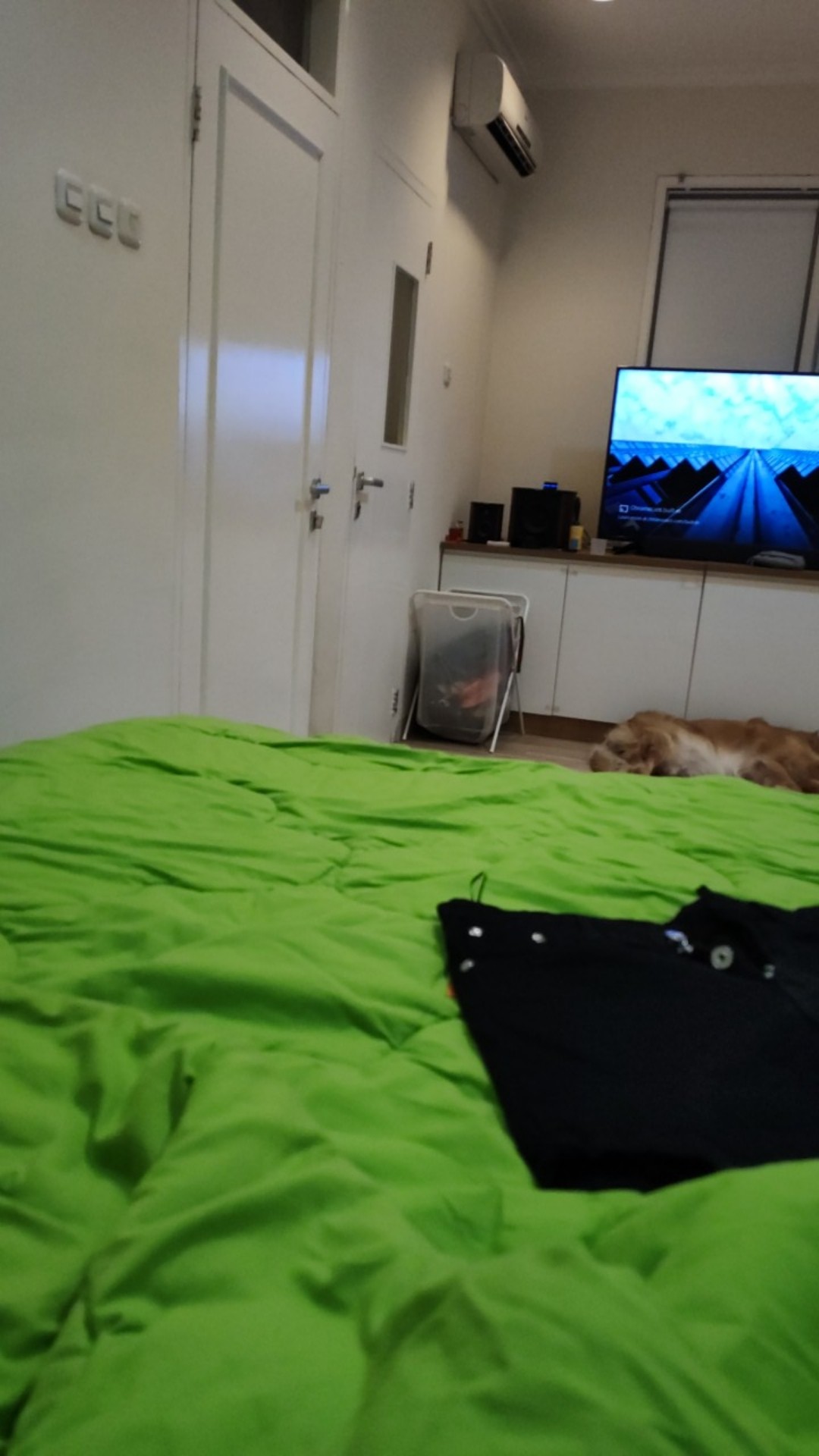 Obat Nyamuk Ampuh !!! 1 Botol Bubuk 300 Gr ( 300 Gram Bubuk Obat Nyamuk ) Pasir Ajaib Bubuk Lavender