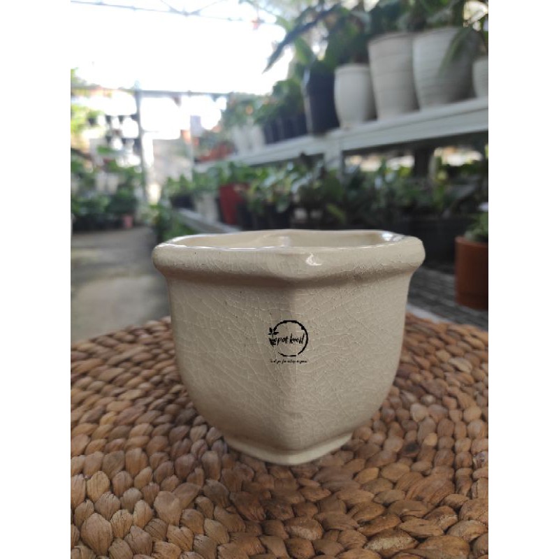 Pot Keramik Cream Segi 6 / Pot Tanaman / Pot Keramik