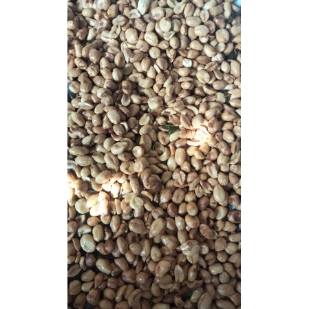 

KACANG BAWANG