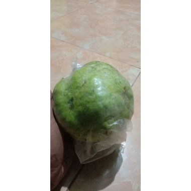 

jambu kristal