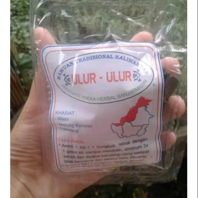 

Herbal Buah Ulur ulur