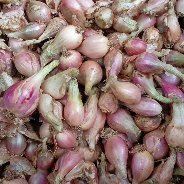 

Bawang Merah Sumenep Sayuran Segar Bandung