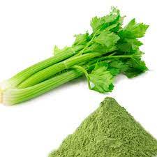 

Seledri Bubuk / Celery Powder / Daun Seledri 100gram -25gram