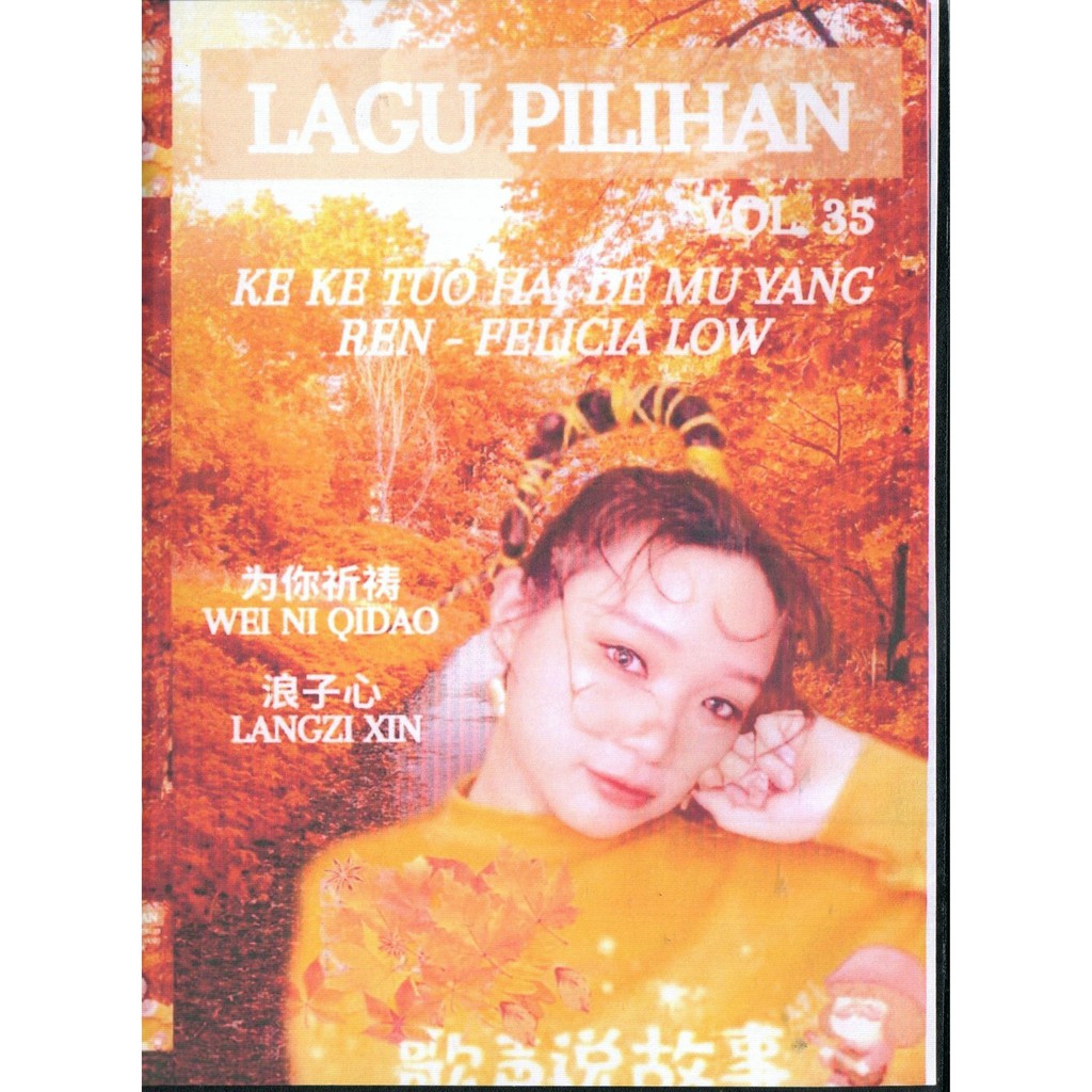 DVD KARAOKE MANDARIN LAGU PILIHAN NO.35