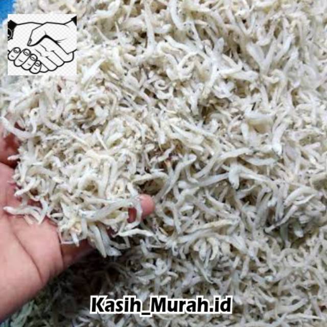

TERI MEDAN