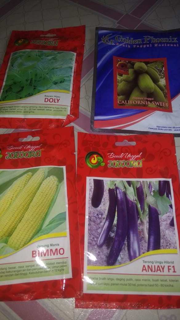 Isi 100 Gram Bibit Bayam Hijau Doly | Benih Bayam | Bibit Sayuran | Bibit Unggul Jawara