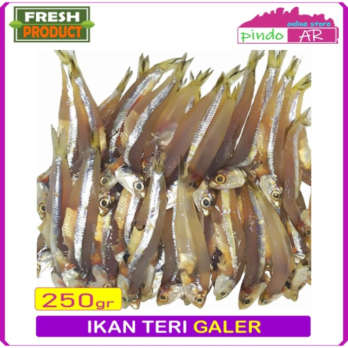 

IKAN TERI GALER / TERI BASAH SEGAR 250 GRAM