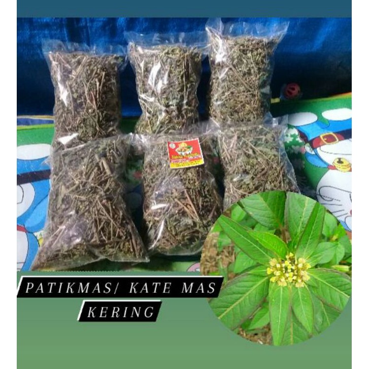 

katemas kering , kate mas 100 gram patik mas suduk mentul kering ( herbal pencuci perut ), tanaman herbal , akar herbal , daun kasroli , daun herbal , untuk diet , obat alami , cahar pencuci perut , daun kelor , humus , daun sena , obat tradisional .