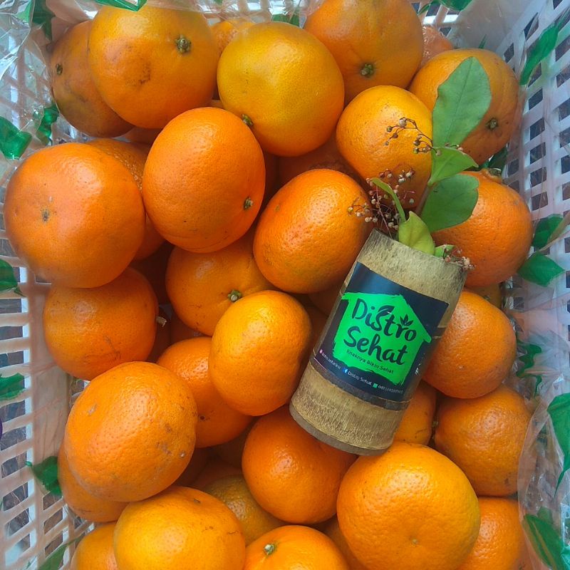 

Jeruk Wokam, dijuluki jeruk sulthan.. maniss dan dagingnya berasa