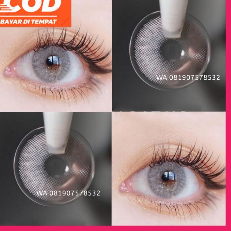 MLT.272388– SOFLENS GREY  Softlens Normal Softlens Minus Softlens Grey Soflens Normal Soflen grey so