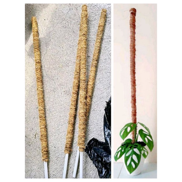 Turus Penyangga Tanaman 100 cm / Turus Penyangga Tanaman 1 Meter