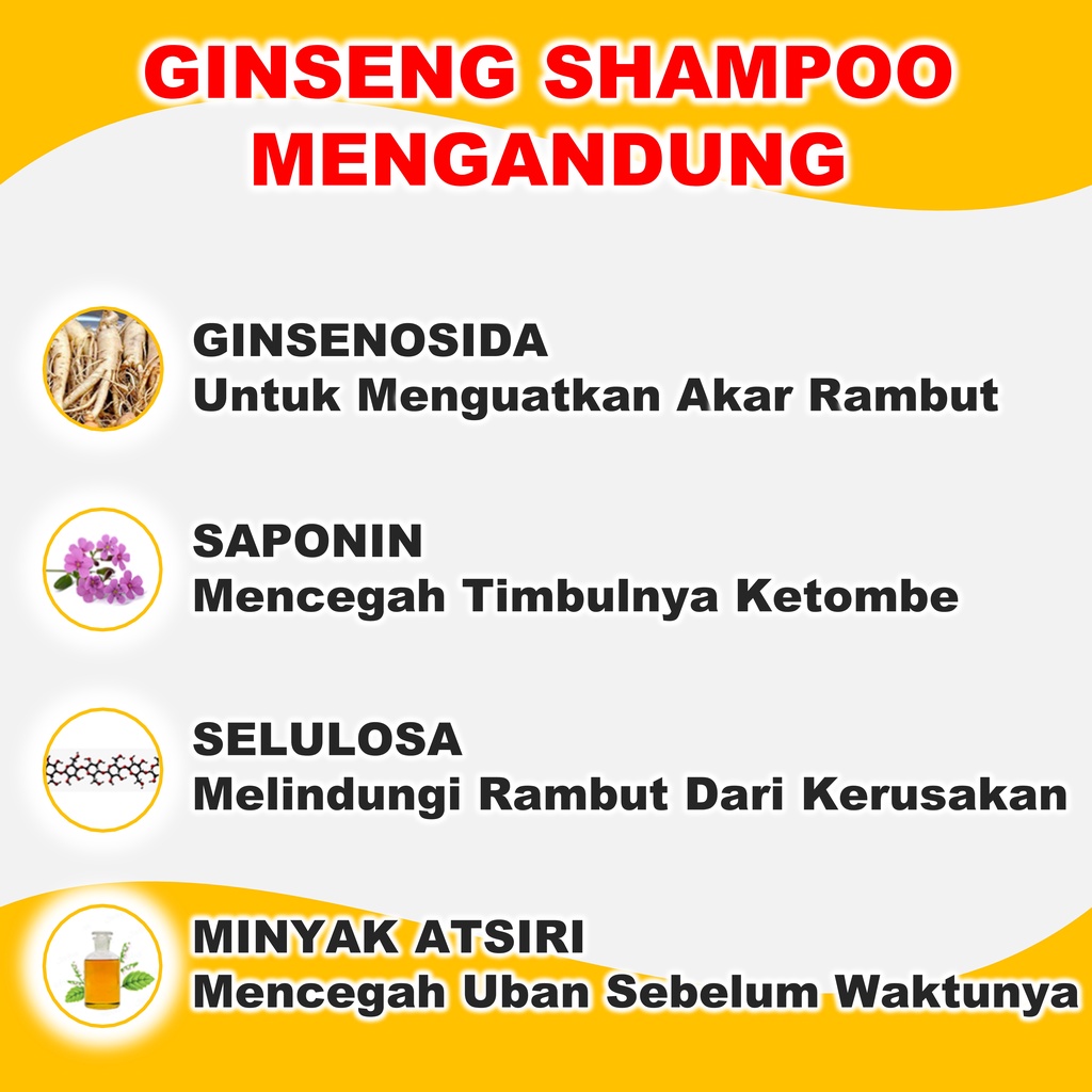 Sampo Rontok Parah Dan Ketombe Penyubur Penumbuh Rambut Ginseng Paling Ampuh BPOM 250 ml B1Q