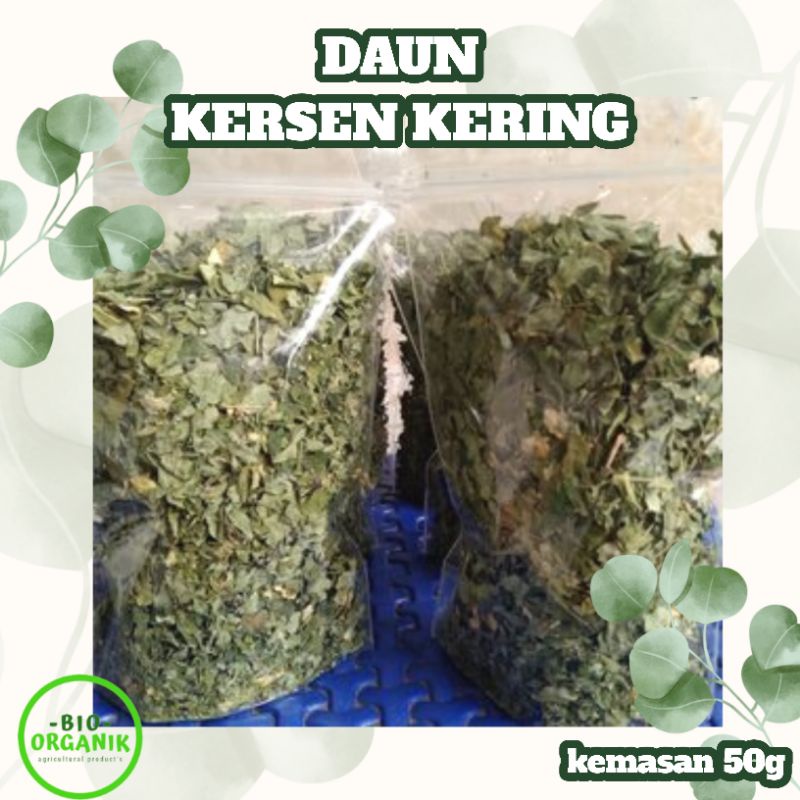

DAUN KERSEN KERING / DAUN KERSEN KERING KEMASAN 50G