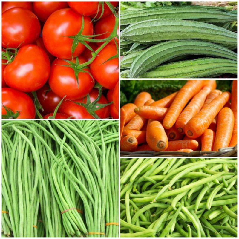

Sayur Segar #Tomat #Wortel #Kacangpanjang #Buncis #Gambas/Onyong