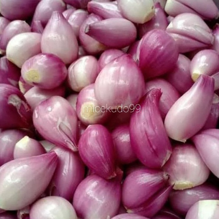 

BAWANG MERAH KUPAS 500GR SEGAR / PEELED FRESH SHALLOT / BRAMBANG SAYUR BALI