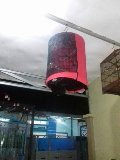Krodong sekat murai