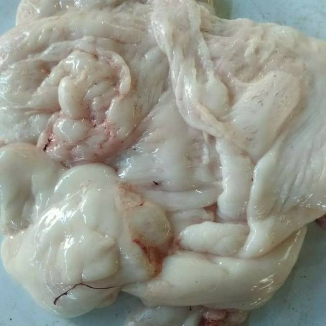 

Lemak Kambing