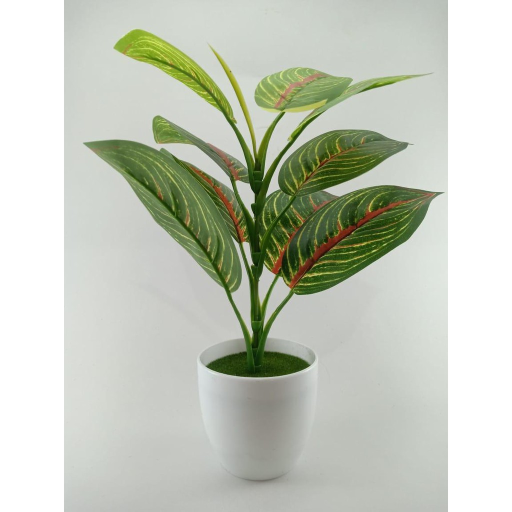 COD TANAMAN HIAS TANAMAN DAUN PLASTIK TANAMAN HIAS RUMAH BUNGA HIAS BUNGA PLASTIK BUNGA BP8830-MERAH