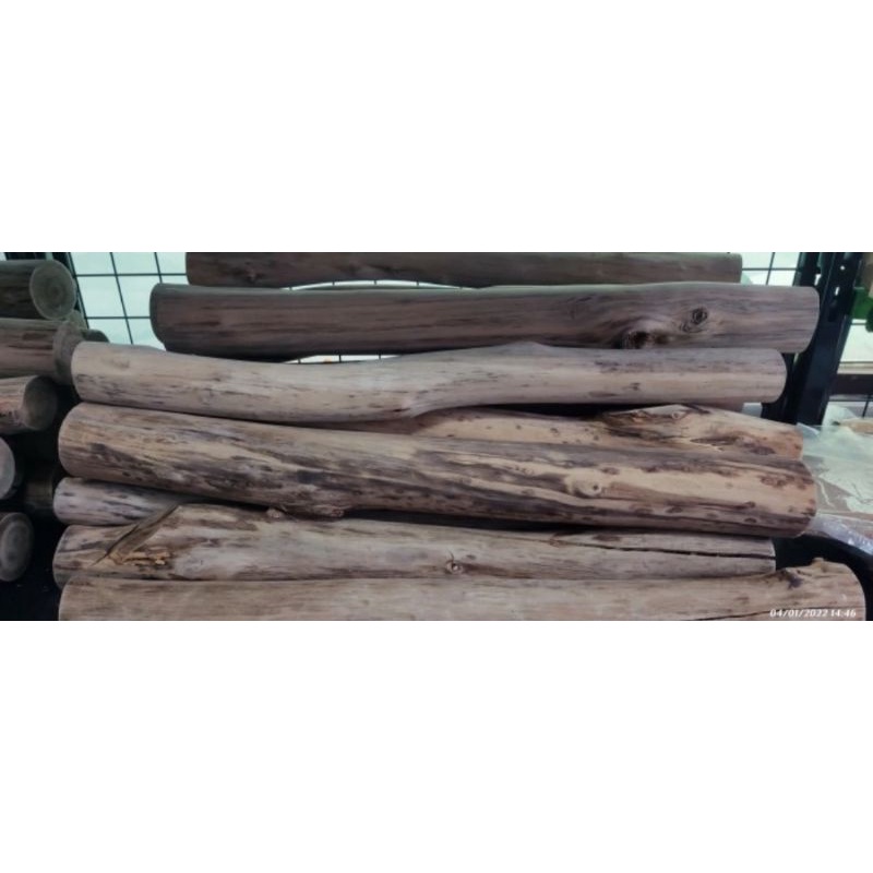 Kayu Dolken untuk Tangkringan Burung