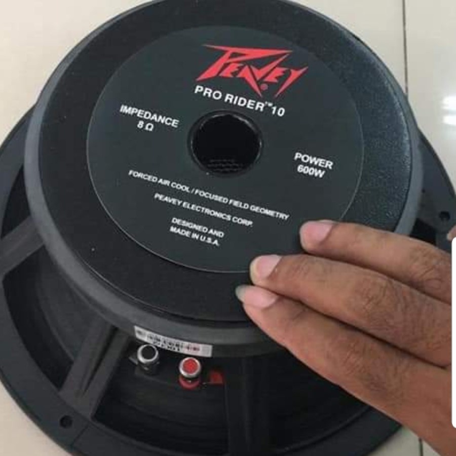 Speaker Peavey 10 inch Pro Rider 600 Watt