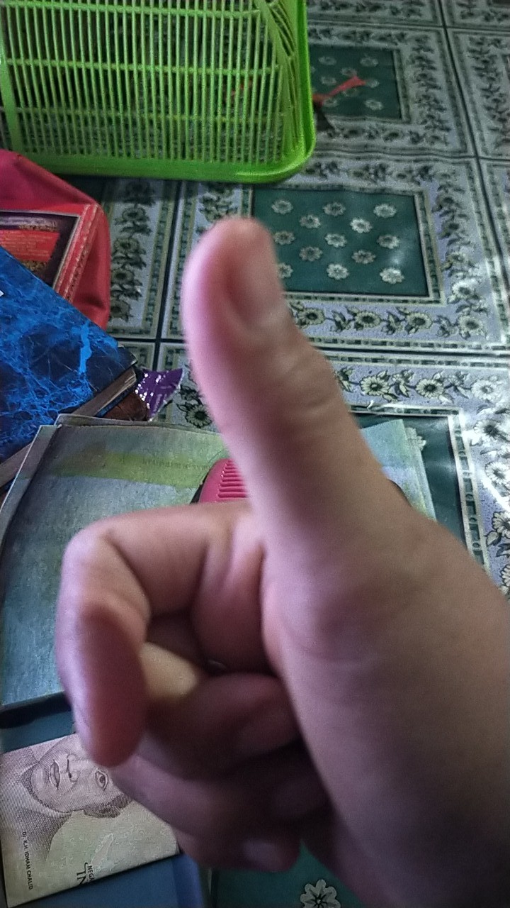 Sugar Baby - Vacuum Stainless Steel Bottle 500ml (vsbb500)