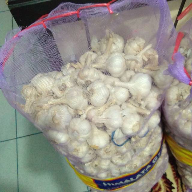 

Bawang putih yg kating 20rb yg biasa 15rb