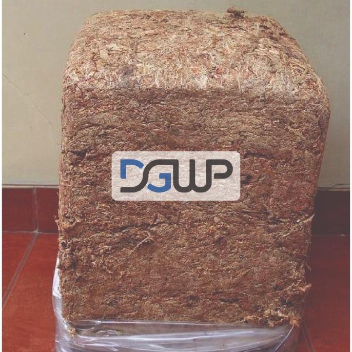 Termurah Sphagnum Moss Chile 5Kg Media Tanam Anggrek By Unniehouse Diansuzuyu