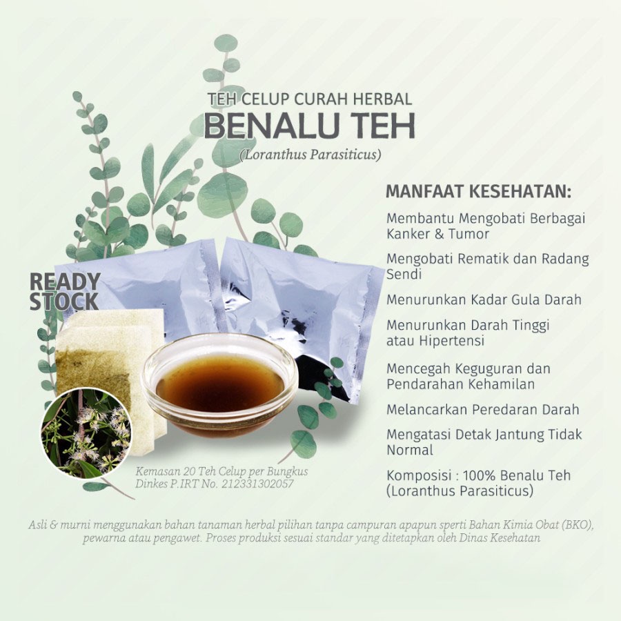 

Teh Celup Herbal BENALU TEA (Loranthus Parasiticus, Abbas) untuk Kanker, Tumor, Anti Aging, Rematik, dan Ginjal