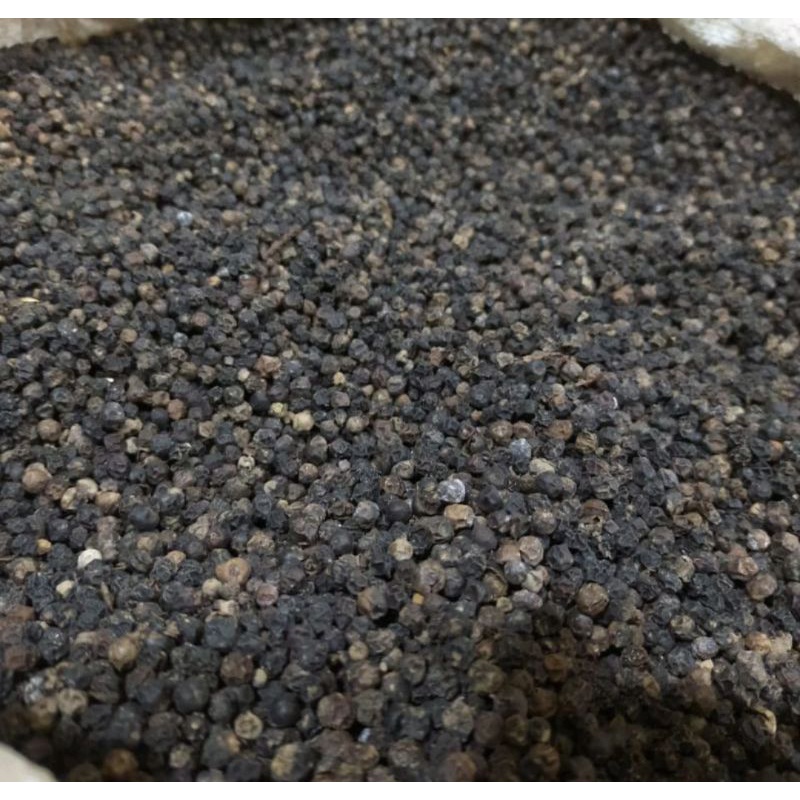 

Bumbu Dapur Lada Hitam Black Pepper UTUH By