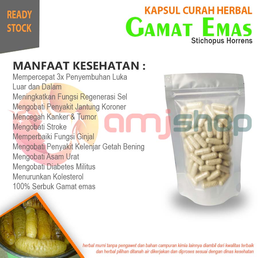 

Gamat emas kapsul curah herbal gamat emas kapsul herbal luka bakar luka luar luka dalam