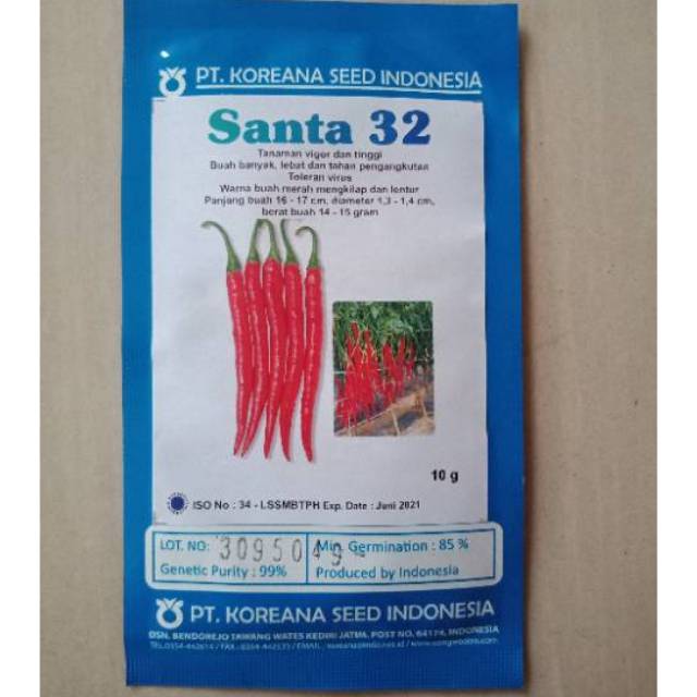 10 gr Benih Cabe Merah Besar Santa 32 Bibit Cabai Lombok Koreana Seed
