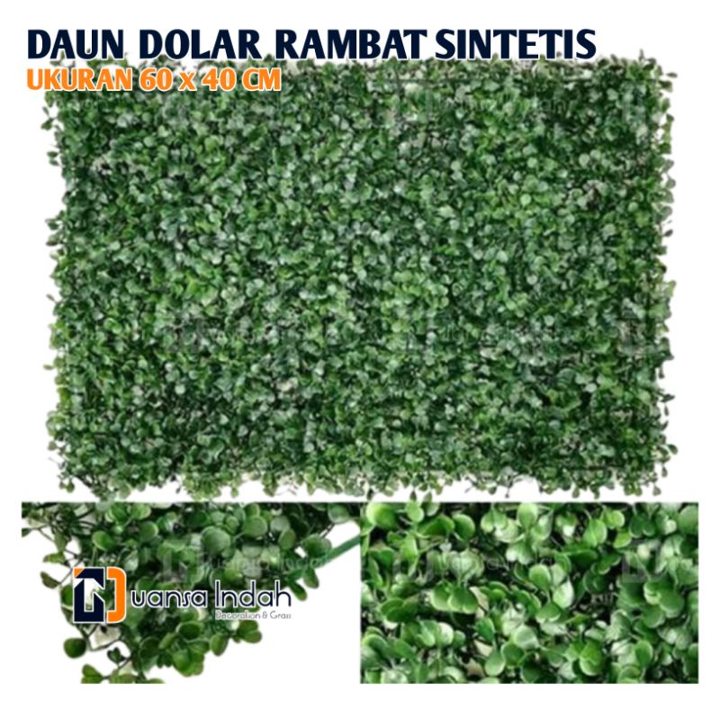 daun dolar rambat sintetis ukuran 60x40cm