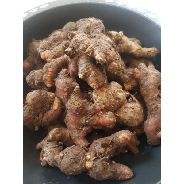 

jahe merah super 1kg