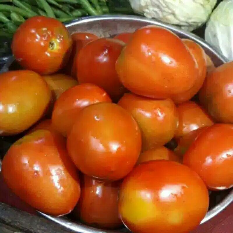 

Tomat Merah Fresh 500gr